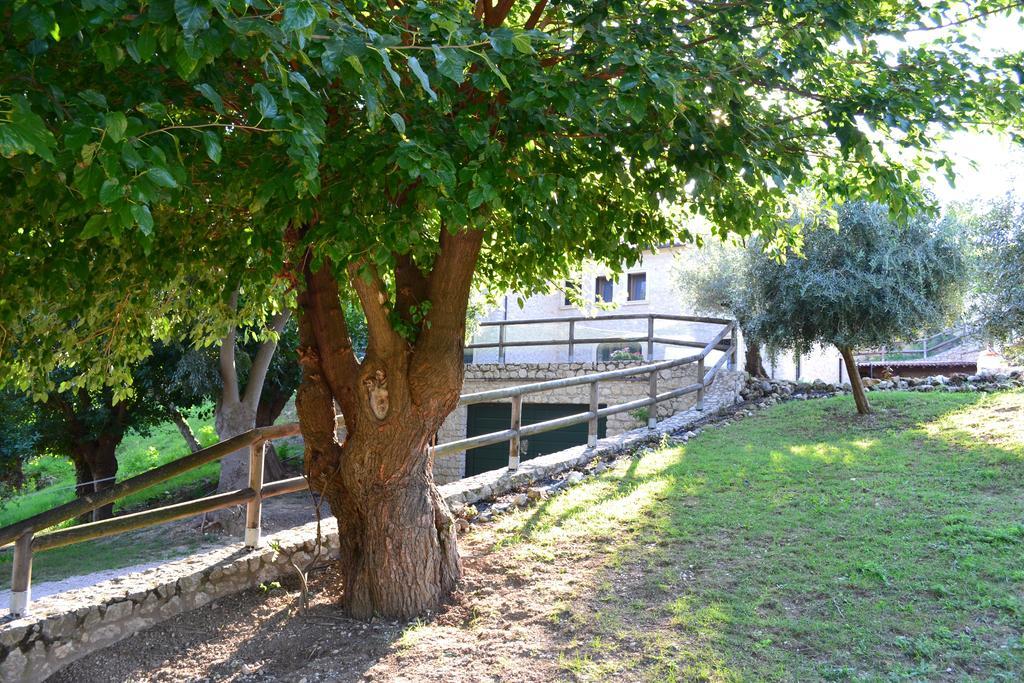Casale La Rocchetta Bed and Breakfast Lonigo Εξωτερικό φωτογραφία
